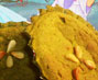 ベジタリアン料理レシピ（スイーツ）かぼちゃの皮のグリーンケーキ